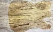 7mm Figure Telecaster Guitar Drop Top Spalted Maple Wood Set Luthier Supply