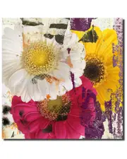 Ready2HangArt Painted Petals LXXXVI Wrapped Canvas Wall Art