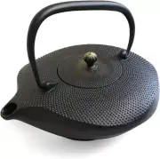 Nanbutekki Iron teapot Kawasemi enameled with tea strainer 6 colors Japan
