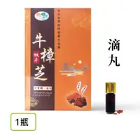 在飛比找i郵購優惠-【欣保氧】台灣國寶椴木牛樟芝 【1入裝】 【欣保氧】台灣國寶