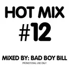 Bad Boy Bill - Hot Mix Vol 12 CD
