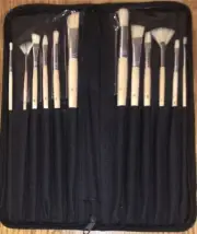 Unbranded 12-piece Long Handle Bristle Hair Artist Paint Brush Set w/Black Case