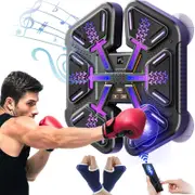 Catzon Intelligent Boxing Trainer with Music and Gloves Punching Game-Black