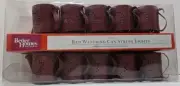 Better Homes & Gardens, Red Maroon Maple Leaf Watering Can string lights Set NEW