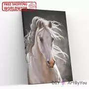 Paint By Numbers Kit Horse Animal Beginner Oil Draw Brush Acrylic Decor DIY Home