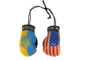 USA & UKRAINE With TRIDENT Country Flags Mini BOXING GLOVES .. New