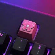 Cute Cherry Blossom Sakura Key Cap Mechanical Keyboard R4 Keycap For Cherry MX