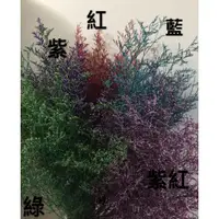 在飛比找蝦皮購物優惠-霜月~乾燥花素材-卡斯比亞（染.原色)乾燥花/盆花/花束手作