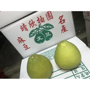 ‼️一箱就免運‼️「正宗麻豆文旦」老欉文旦 pomelo柚子 中秋送禮 麻豆名產