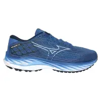 在飛比找Yahoo奇摩購物中心優惠-MIZUNO WAVE INSPIRE 20 SW 男慢跑鞋