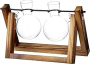 ANDRESLAD Plant Propagation Station with Wooden Stand Stylish Hanging Bulb Vases for Indoor Desktop Decoration and Plant Cuttings for Home and Office Centrepiece