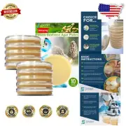 Convenient Petri Dishes with Fresh Potato Dextrose Agar for Science Projects