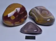3 x MOOKAITE POLISHED FREEFORMS, Fossil Radiolarian, Australia P314