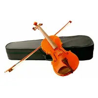 在飛比找momo購物網優惠-【澳洲KG】精選小提琴 80號(附精美提琴盒)