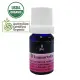 【BodyTemple 身體殿堂】100%有機永久花芳療精油10ml(Immortelle certified organic)