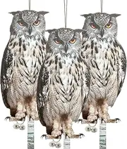 3 Pcs Owl to Keep Birds Away Reflective Owl Bird Deterrent Double Side Printed Owl Scarecrow Waterproof Plastic Hanging Owl Decoy Natural Enemy Bird Scare Owl for Garden Patio Windows Farm (QN002)