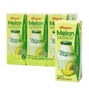 Binggrae Melon Flavored Milk Drink 6.8 oz x 48 Packs~7/30/2025