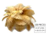100 Pieces - 8-10" Old Gold Wholesale Ostrich Wing Feathers Gatsby Carnival Wing