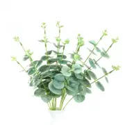 6 pcs 19" tall Frosted Green Eucalyptus Artificial Greenery Bushes Wedding SALE