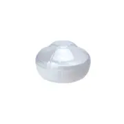 All Set Garlic Shaped Container