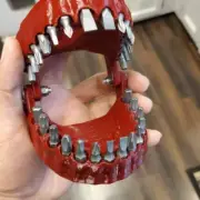 Denture Drill Bit Holder Teeth Model Design Screwdriver Bit Holder with 6.35Mm/1