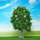 Stunning Artificial Trees for Train Railroad Diorama Unique Scenery Decor