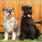 Just Schnauzers 2023 Wall Calendar
