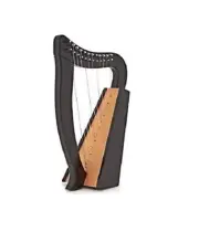 12 Strings Black Celtic Rosewood Engraved Harp With Free Strings Set, Tuner, Bag