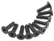 New Axial SCX10 Wraith MAX-D 3x10mm Hex Self Tapping Flat Head Screws (10PCS)