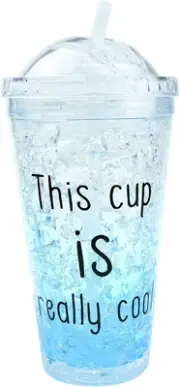 Holiday Cold Cup Tumbler with Dome Lids and Straw,Double Wall Cup for Cold Drink