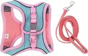 Pet Controlling Rope Set for Cats Kitten Escape Proof Harness and Adjustable Leash for Long Walks