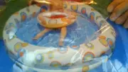 SPLASH GEAR 3 PIECE Pool Set - POOL 48" X 10" & 20" POOL RING FLOAT & 20" BALL