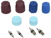 For 1994, 2000-2001 Audi S4 A/C System Valve Core and Cap Kit 89852XNRV APB (for: Audi)