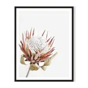 Isolated Framed Printed Wall Art - Black