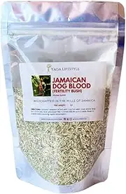 Jamaican Dog Blood Bush | Fertility Herb