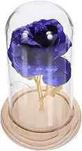 Yardenfun Preserved Flower LED Light in Glass Dome Romantic Home Decor Present for Couples Immortal Rose Decoration Without Battery Cozy Atmosphere Occasion