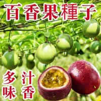 在飛比找蝦皮購物優惠-【蜜蜜園藝】百香果種子 雞蛋果滿天星黃金果種 黃皮紫皮百香果