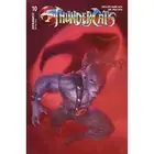 Thundercats #10 Cover E Rahzzah Dynamite Entertainment