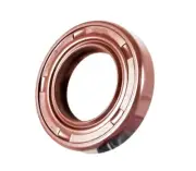 EAI 18x37x6mm FPM/FKM Oil Shaft Rotary Seal w/ Stainless Steel Spring Dbl Lip