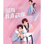 2020台劇 因為我喜歡你 DVD 汪東城/郭雪芙 高清 全新 盒裝