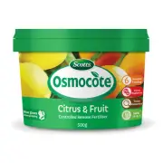 4 X scotts osmocote 500g citrus and fruit controlled release fertiliser