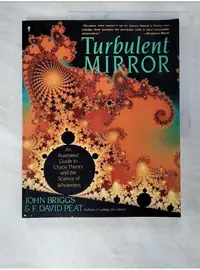 在飛比找蝦皮購物優惠-Turbulent mirror : an illustra