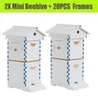 2X Auto Beehives Honey Boxes Bee Hive Mini House box 20x Beekeeping Brood Frames