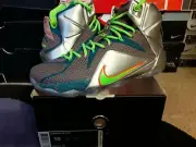 Nike Air Zoom Max LeBron James XII 12 PRM Trillion Blue Green Silver 705410 430