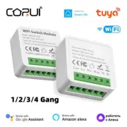 CORUI Tuya WIFI 1/2/3/4 Gang Smart Switch Module Mini Smart Life 2 Way Control S