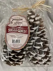 Bindle & Brass Set Of 2 Sugar Pine Cones 8 & 10 Inch Frosted Tips