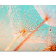Dandelion Seed with Water Drops Print 100% Australian Made 75 x 50cm (Stretched)