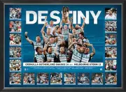 CRONULLA SHARKS 2016 NRL PREMIERS FRAMED LIMITED EDITION SPORTSPRINT MALONEY