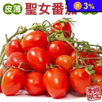 在飛比找生活市集優惠-【果之蔬】台灣嚴選溫室聖女番茄600g
