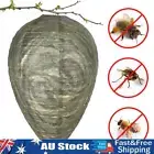 - Hanging Wasp Deterrent Safe Yellow Jacket Trap for Wasps Hornets Yellow Jacket